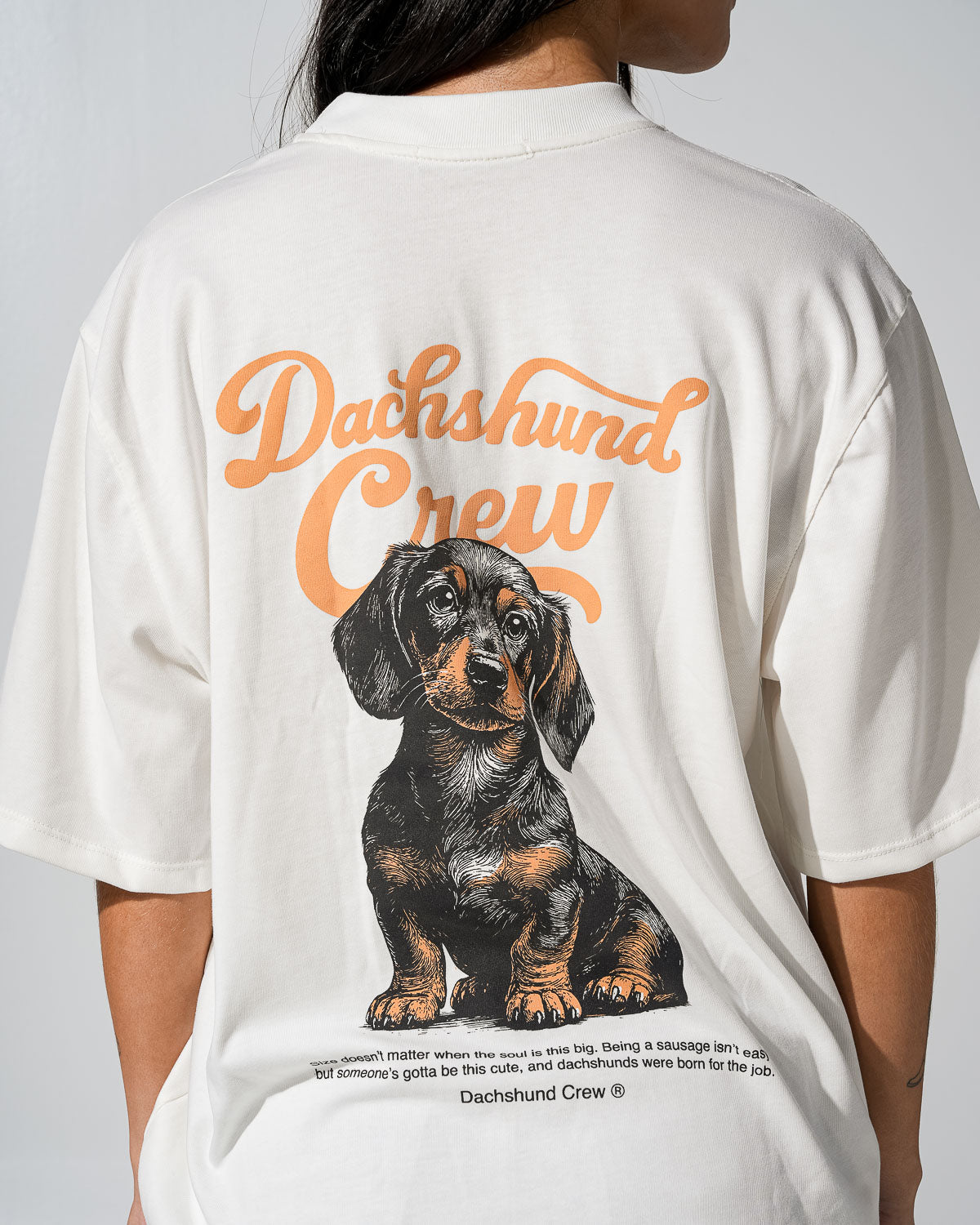 Dachsund crew
